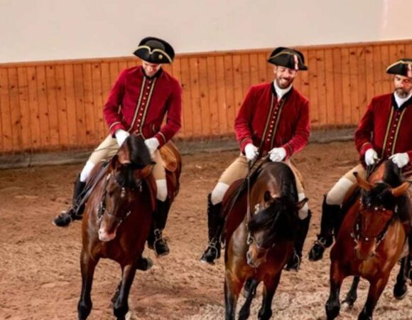 Lisbon: Morning of Equestrian Art with Lusitano Horses