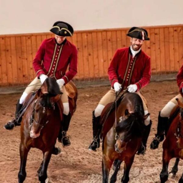 Lisbon: Morning of Equestrian Art with Lusitano Horses